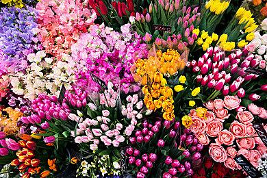 《马里奥与路易吉：兄弟》文件体积为10GB